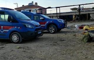 Sallanmak için astığı ip sonu oldu