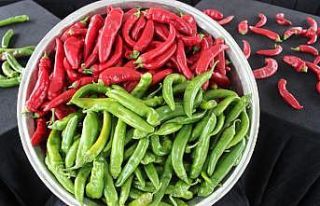 Samandağ biberine coğrafi işaret belgesi