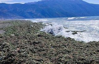 Samandağ sahili yürünemeyecek hale geldi