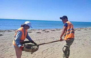 Samandağ sahilinin 12 kilometresi petrol atıklarından...
