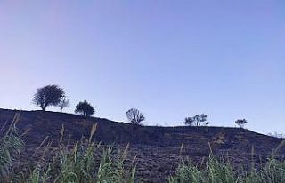 Samandağ’da bahçe yangını