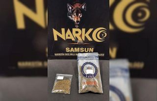 Samsun’da bonzai ile yakalanan bir kişi gözaltında