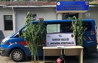 Samsun’da çok sayıda narkotik madde ele geçirildi