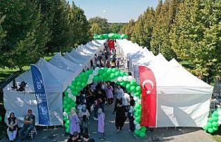 Sanata hayat veren eller festivali