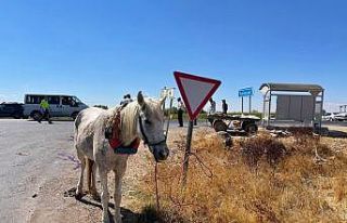 Şanlıurfa’da ilginç kaza