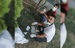 Şanlıurfa’da yaralı yavruya ilk müdahaleyi sağlık...