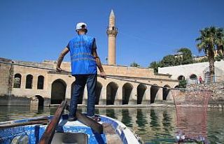Şanlıurfa’nın saklı cenneti Halfeti’de kapsamlı...