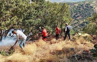 SAR, Bingöl’deki yangınlarda ekiplere destek verdi