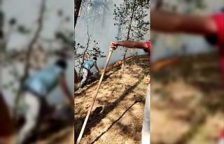 Sarıkamış ormanlarında çıkan örtü yangını...