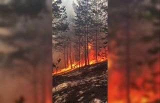 Sarıkamış Ormnları’nda korkutan yangın, ekiplerin...