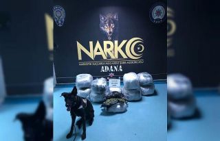 Sebze kasaları arasında 101 kilo esrar ele geçirildi