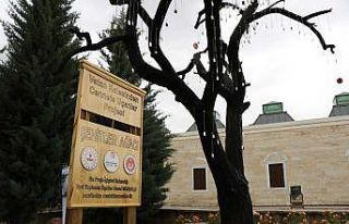 ’Şehitler Ağacı’ndan şehit askerlerin künyelerini...