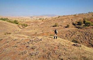 Şehrin gürültüsü, yoğunluğu ve stresinden bıktı,...