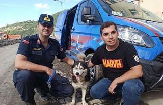 Selde hayatını kaybeden sahibine vefasını her...