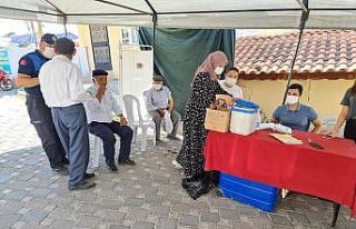 Selendi’de gece gündüz aşılama çalışmaları...