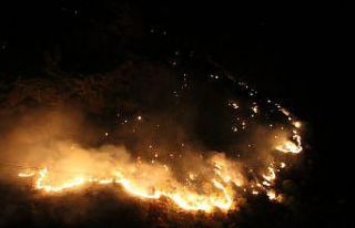 Şemdinli’de orman yangını