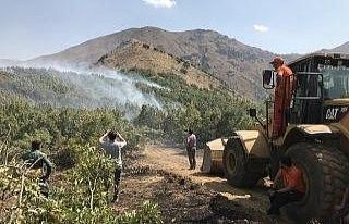 Şemdinli’de orman yangını kontrol altına alındı