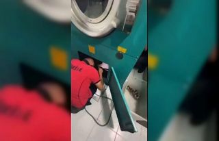 Sesi duydular, anne ve yavru kedileri kurtardılar