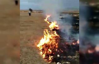 Seyitgazi’de çıkan yangında 5 dönüm tarım...