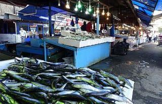 Sezonun ilk günü gibi tezgahlarda istavrit bolluğu...