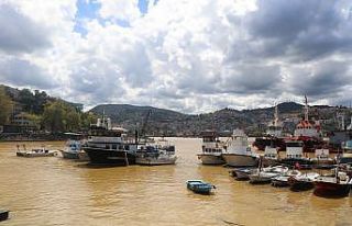 Şiddetli yağmur sonrası liman sarıya boyandı