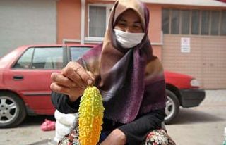 Şifalı olmasından etkilendi ‘kudret narı’...