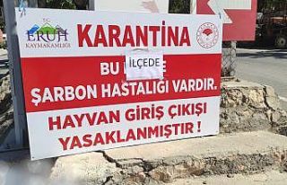 Siirt’te hayvan giriş-çıkışları yasaklandı