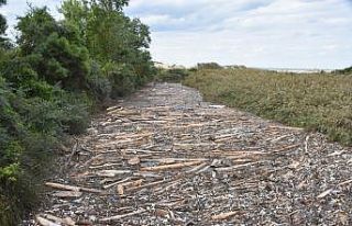 Sinop’ta korkutan görüntü: Sarıkum’da doğal...