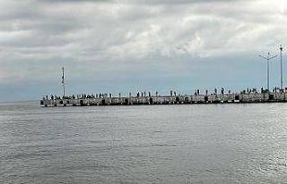 Sinop’ta oltasını alan iskeleye koşuyor