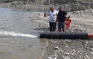 Sinop’ta rekor balıklandırma: 1 milyon 150 bin...