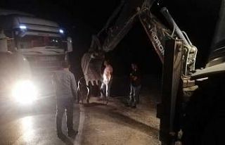 Şırnak’ta kömür yüklü kamyon yoldan çıktı