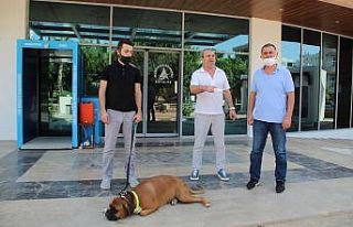 Site bahçesine köpek girmesinden çıkan kavgada...