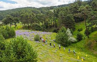 Sivas’ın saklı kalan güzellikleri hayran bırakıyor