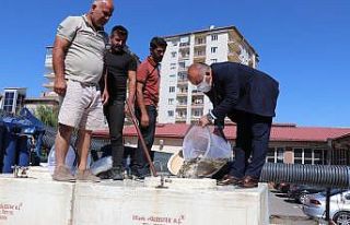 Sivas’ta göller balıkla dolup taşacak