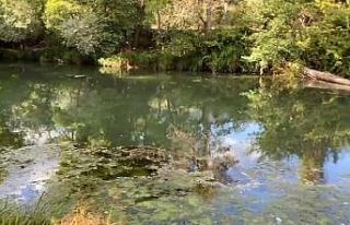 Soğanlı Çayı’nda kirlilik alarmı: Vatandaşlar...