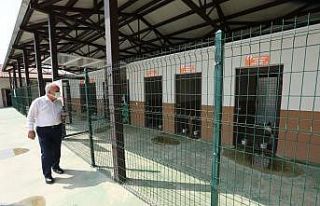 Sokak hayvanları rehabilitasyon merkezi örnek oluyor