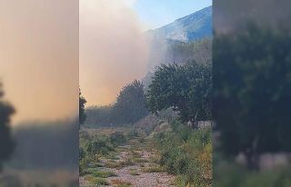 Söke’de orman yangını