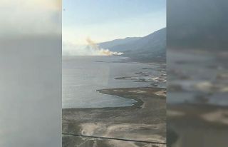 Söke’deki orman yangını kontrol altına alındı