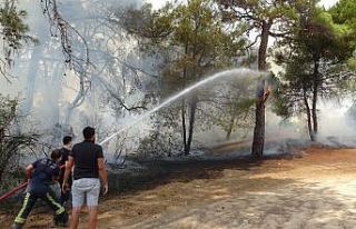 Sorgun Çamlığında çıkan yangında 1 dönüm...