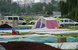 Soydan: “Islanan fındıkta çürüme riski çok...