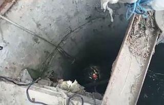 Su kuyusuna düşen yavru kediyi itfaiye ekipleri...