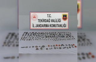 Şüpheli 2 kişiden 212 parça tarihi eser çıktı