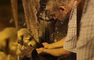 Susuz kalan köpeğin yardımına polis yetişti