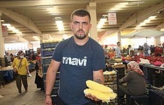 Süt mısıra ilgi büyük