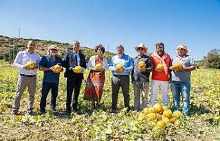 Tadı, dayanıklılığı, aromasıyla meşhur Çeşme...