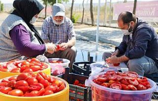 Talas’ta kış hazırlıkları devam ediyor