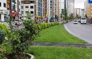 Talas’ta yollara önce refüj sonra ağaç