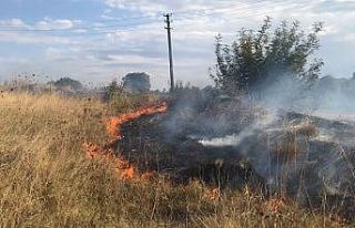 Tarlada çıkan yangın, evlere ulaşmadan söndürüldü