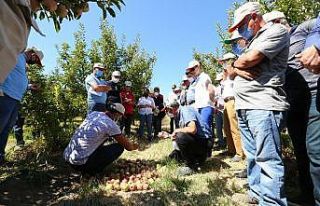 TARSİM, Isparta ve Antalya’da toplantılar gerçekleştirdi