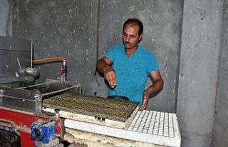 Tarsus Belediyesi, üreticilere ücretsiz 700 bin...